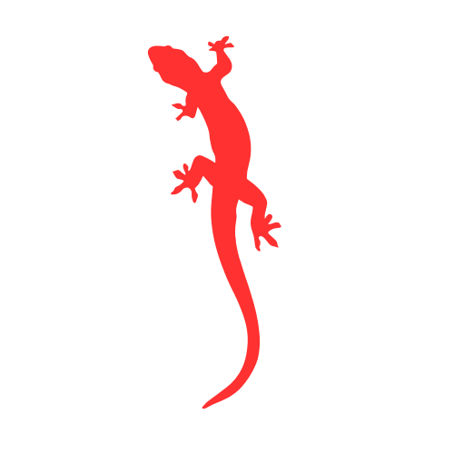 The Image Web Logo